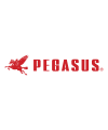 Pegasus